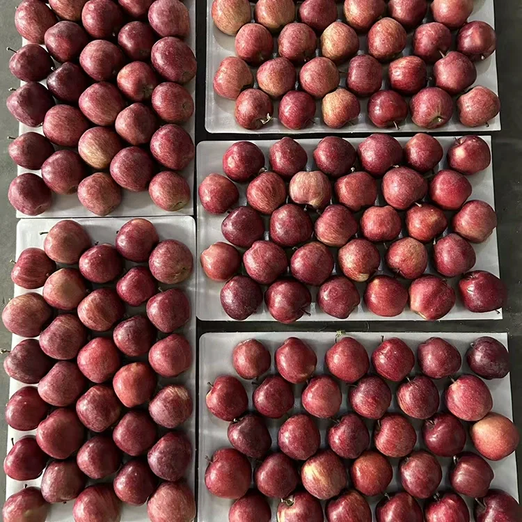 Jabolka Bright Red Star