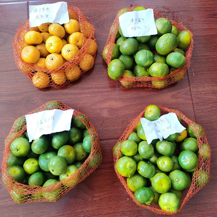 Sveža medena mandarina