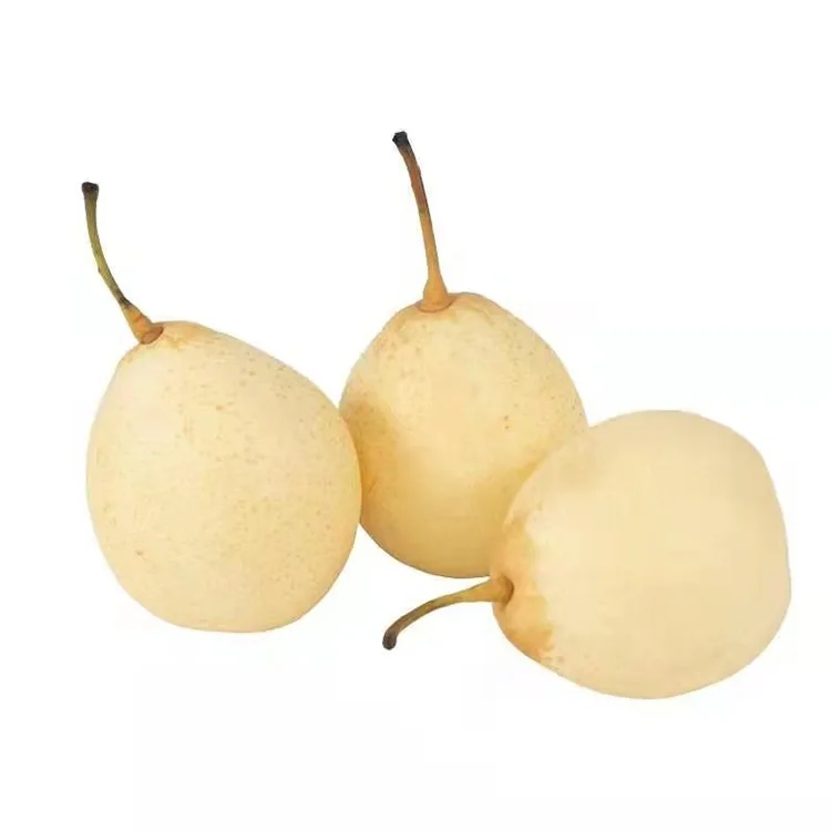 Sveže obrana hruška Ya