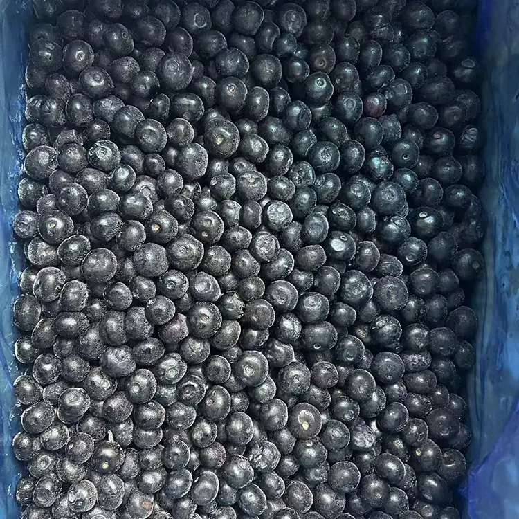 Zamrznjene borovnice Premium IQF Borovnice