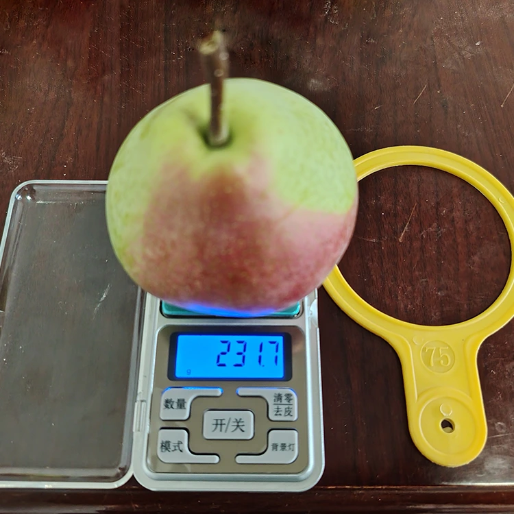 Premium Hand-Picked Eye-Catching Glossy-Red July Red Pear