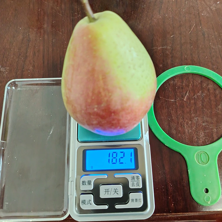 Premium Hand-Picked Eye-Catching Glossy-Red July Red Pear