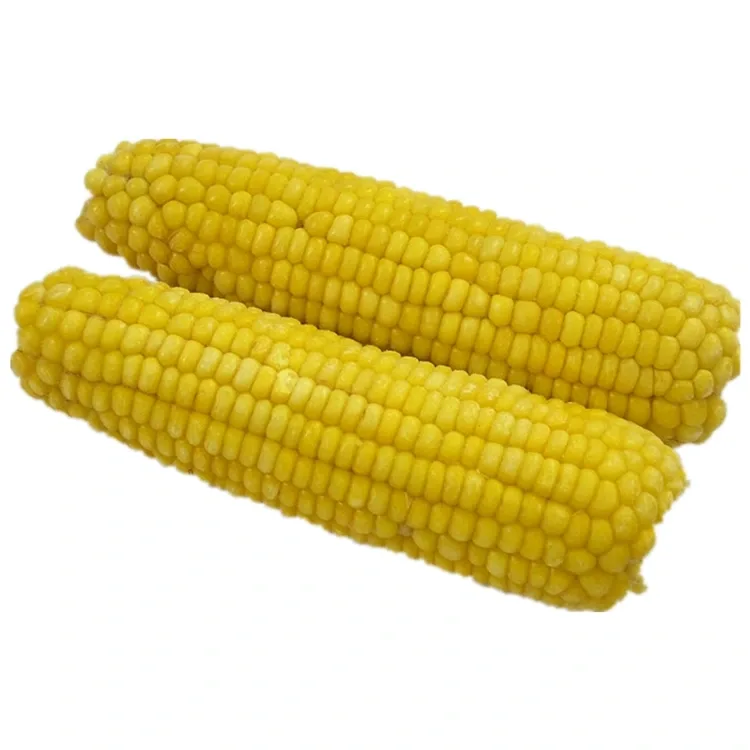 Premium zamrznjena sladka koruza