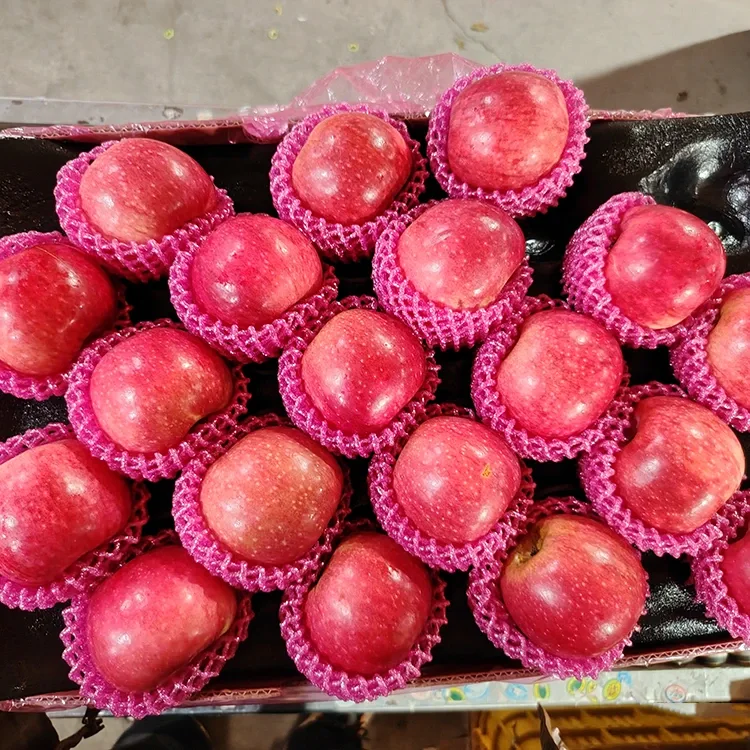 Vrhunska sveža jabolka Jiguan